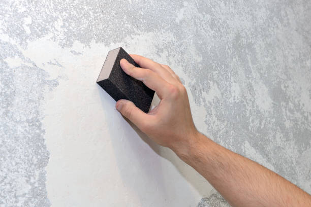 Best Mold Documentation for Insurance Claims  in Tybee Island, GA