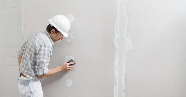 Best Environmental Consulting for Mold Prevention  in Tybee Island, GA
