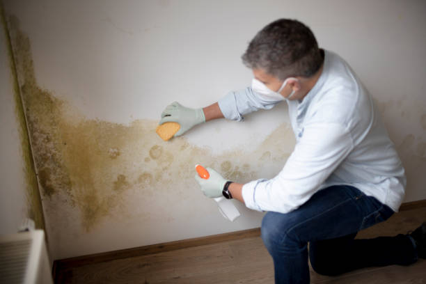 Best Indoor Air Quality Assessment  in Tybee Island, GA