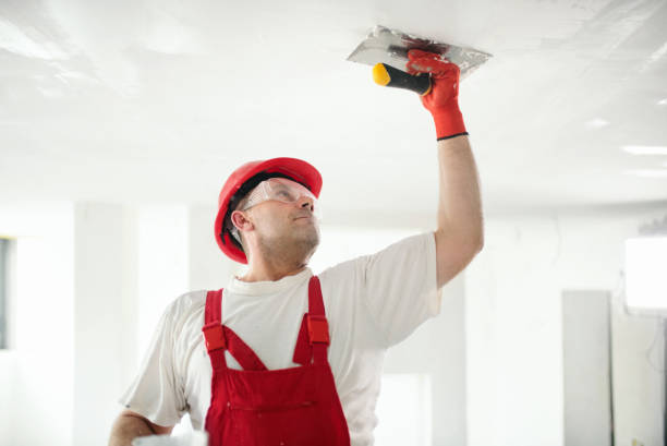 Best Mold Removal for HVAC Installations  in Tybee Island, GA